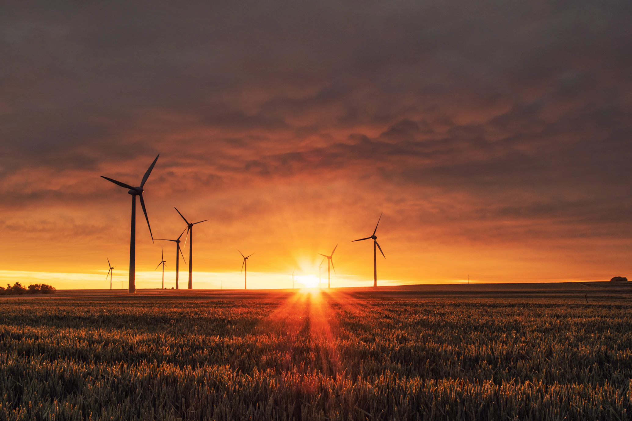 Wind turbines silhouetted against a vibrant orange sunset over a field of tall grass.